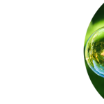 Bubble_Feature